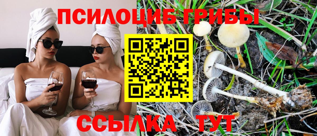 Галлюциногенные грибы мухоморы Дедовск