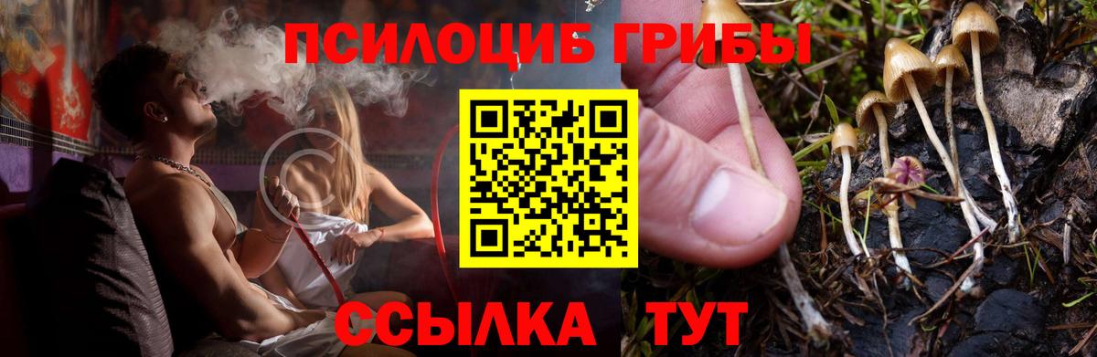Псилоцибиновые грибы прущие грибы  Вход с VPN  Дедовск 